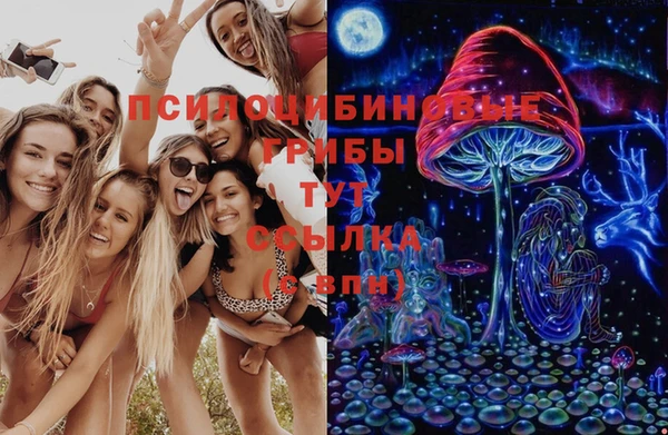МДПВ Зерноград