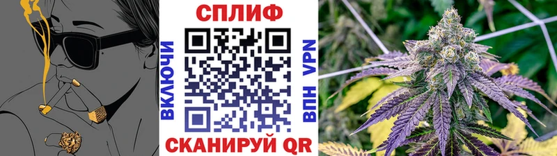 Купить где  Лакинск  Бошки Шишки Amnesia 